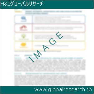 グローバルリサーチ調査レポートのイメージ